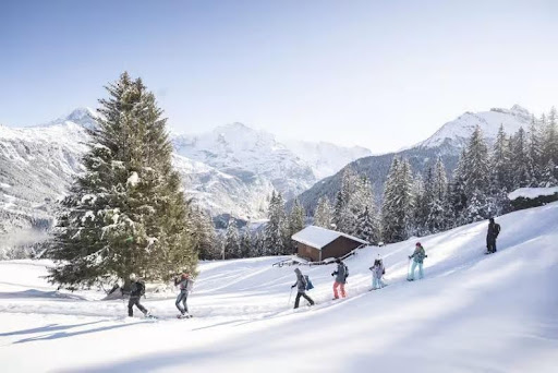Swiss Landscape 1